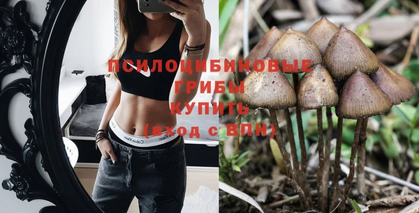 таблы Карпинск