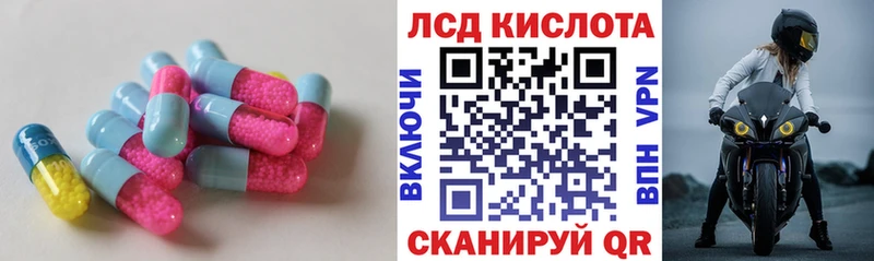 Купить  Лермонтов  LSD-25 экстази ecstasy 