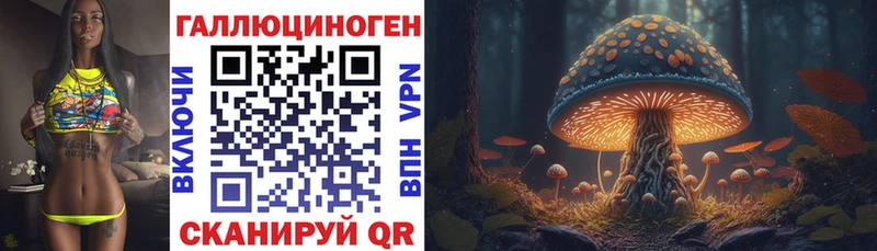 Купить закладки  Лермонтов  Галлюциногенные грибы ЛСД 